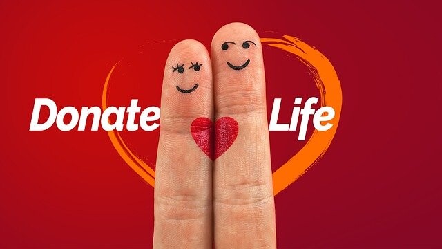 organ donation, transplantation