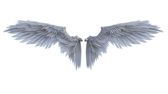 a682d74118bbad778ad3d926be8e48cf4ef8663c395021b40a4f5f00902f8d65.png