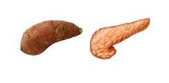 sweet_potato