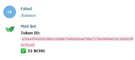 BCHG TOKEN
