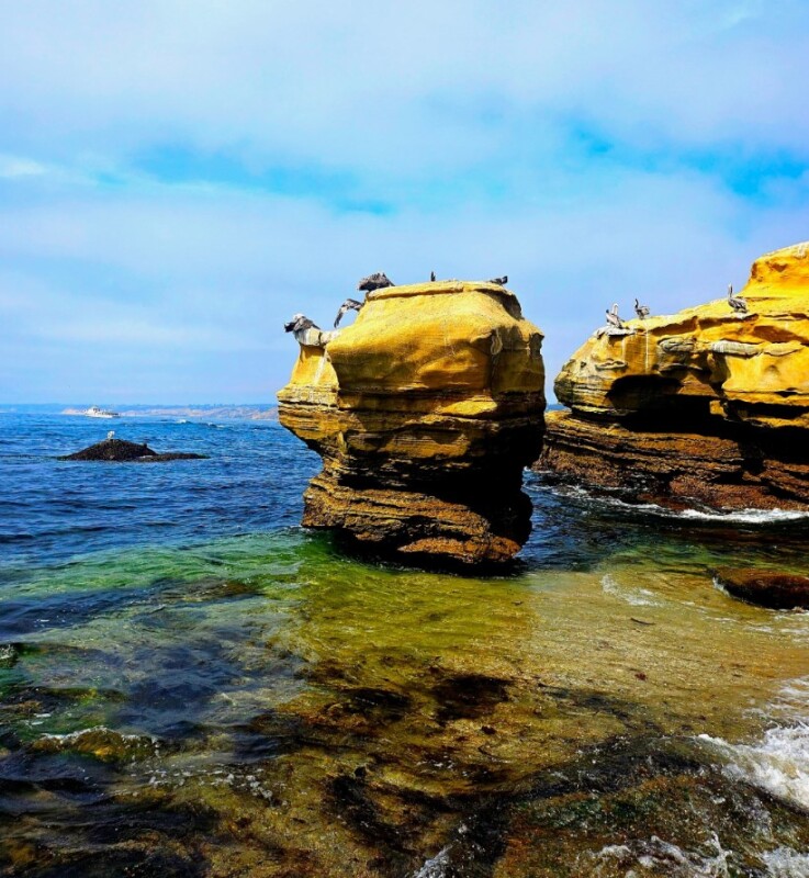 La Jolla