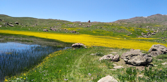 Charming Pond in The Highest Mountain of Talesh, Guilan, Iran