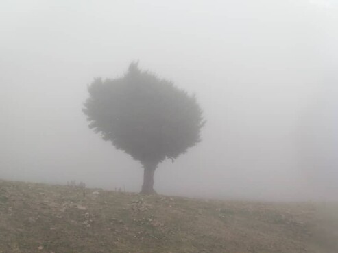 One of The Most Dreamy Routes &amp; Fog | Asalem-Khalkhal |