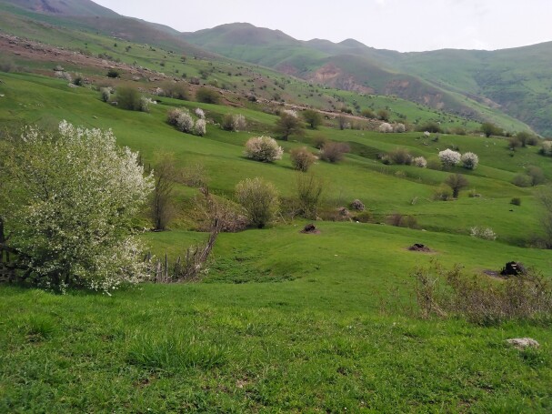 Mountain village of “Makesh” in Talesh- Iran – Green ever after