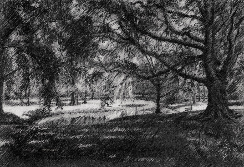 impressionist treescape graphite pencil drawing