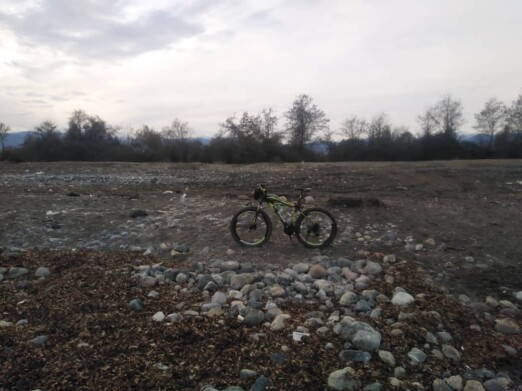 Photography of Cycling, The Story of A Dog and 4 Puppies