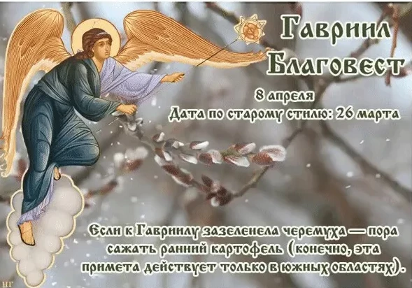 b77e8dd4098386c7b47fb7454510d67a6f1ccbc26c92ca6c7a370965af0a5d05.png