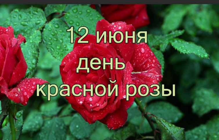 5c556566bd11cd835e40cc5281b29a4b044d9dfa453b18b95a59407528d560a8.png
