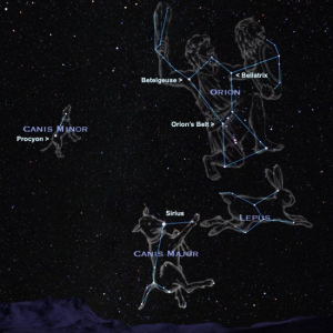 Orion