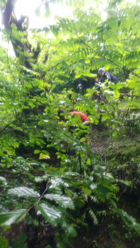 The Story of Getting Lost in The Forest…