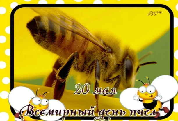 664323a4986e8316b9efdb9b64168aee87a8fdacd5fb8fd0248560cf2771a929.png