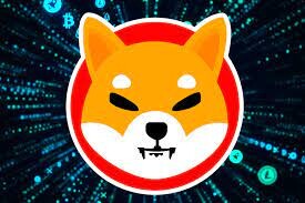 shiba