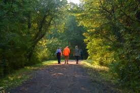 3 people walking in nature