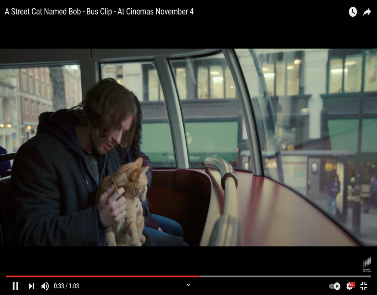 cat bob, james bowel