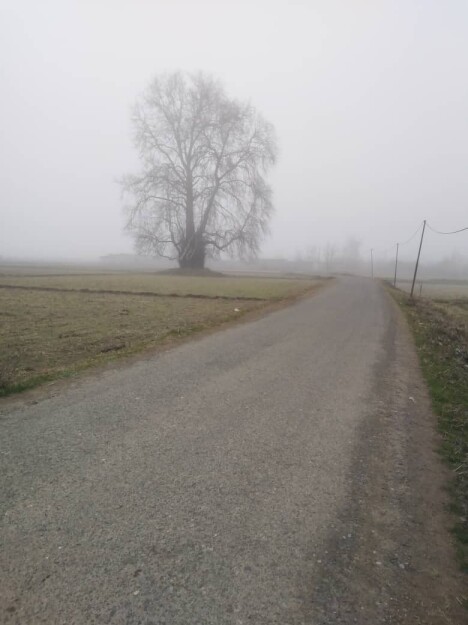 Riding in the Fog, Once Again, An Invisible Adventure