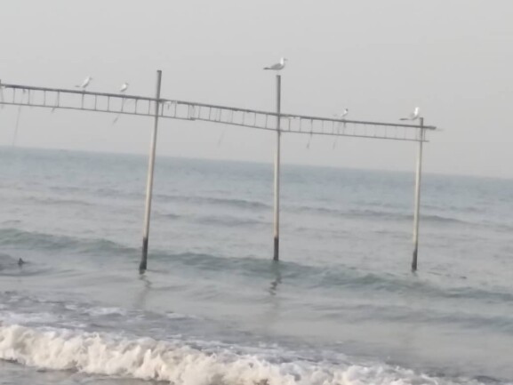 A Sunny Day, Seagulls &amp; Sightseeing on The New Beach