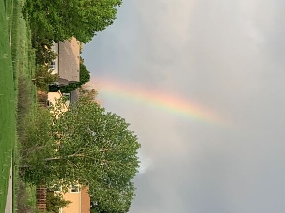 One of Colorado Springs's beautiful neighborhoods
