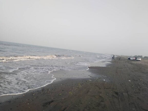 A Sunny Day, Seagulls &amp; Sightseeing on The New Beach