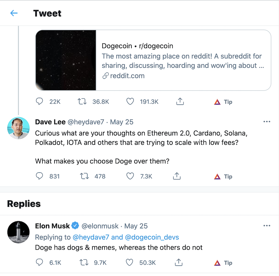 elon, crypto