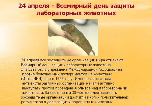 4cfc2612b9e40c1bbd4f95cbfaa5dfa9247e4c34c76be8d7c62da7f393c83b01.png