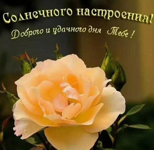 7db68202603cab242aa35f9206e7b5a9b15199c36a8b1dfd0ef38e9ff5418df7.jpg