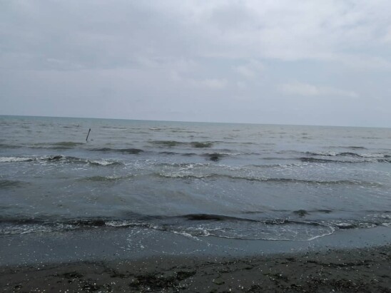 The Most Divine Seashell Beach I Could Find | North of Iran Nature