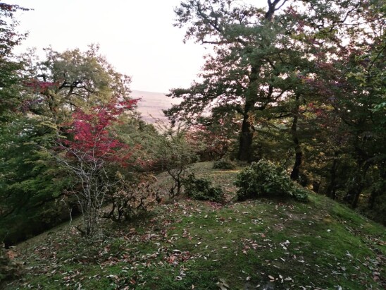 Autumn, My Favorite Season | A Hike Before Sunset