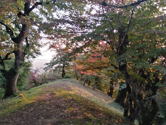 Autumn, My Favorite Season | A Hike Before Sunset