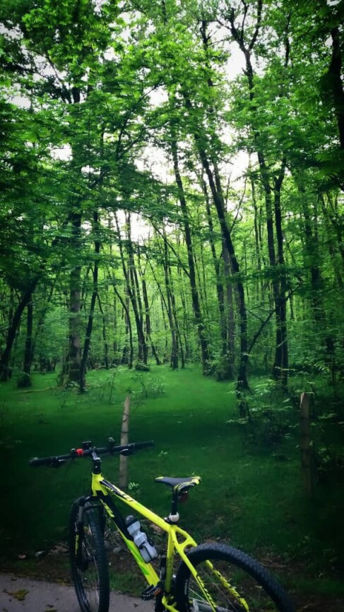 Cycling And Discovering A New Village Deep in The Forest
