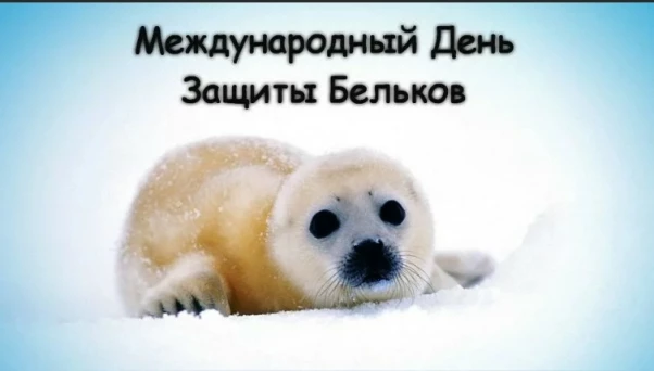 ab0c6abf3722941c9c4b8a0023cd4f4827e981910ff984f36cddf323f3bd66b6.jpg