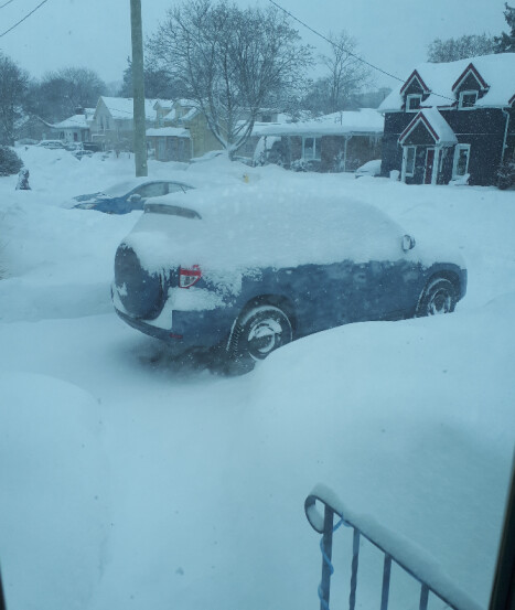Looking out my front door!