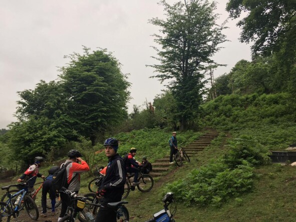 The Story of Getting Lost in The Forest…