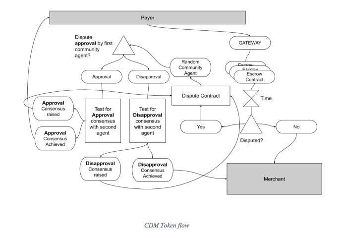 CDM Token Flow