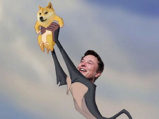 ELON Y DOGE