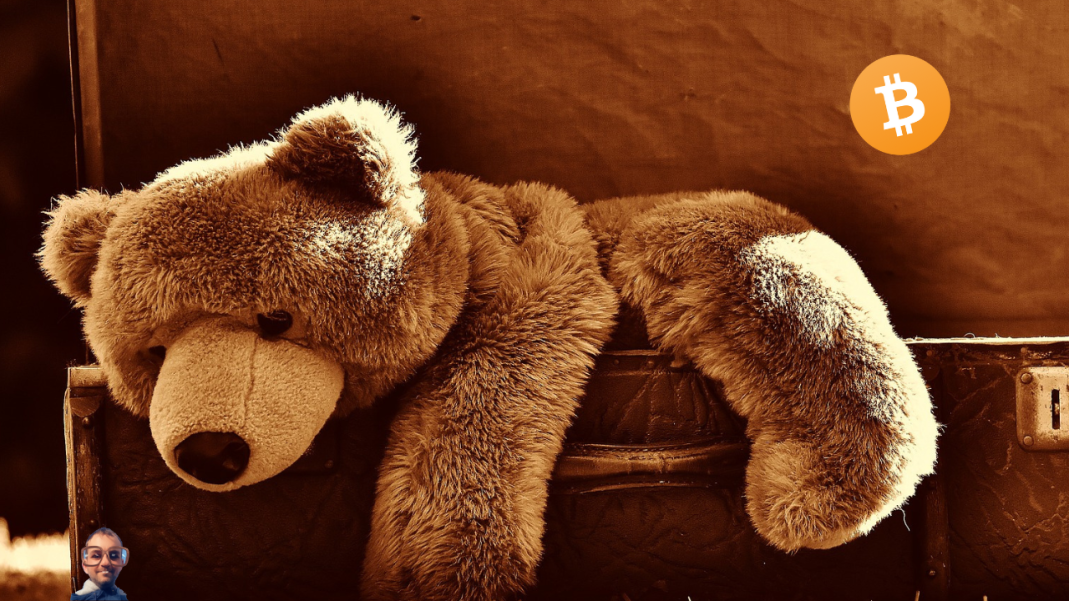 bear market investment opportunities