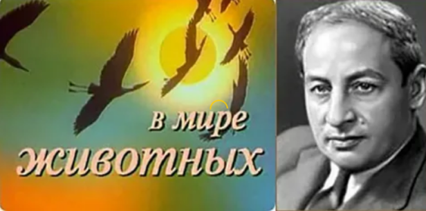 0303ac1bbbe452a4c515c45ee86f8d335f603a850020d8c9dd34dde00501ca10.png