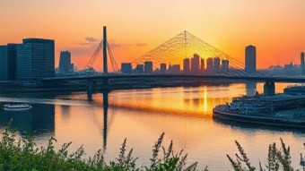 The Role of Public Interventions in the Success of  Rotterdam’s ‘Klushuizen’ Approach