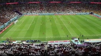 The Beautifull Game: Why Soccer Captivates the World