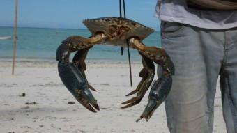 Culinary journeys - Zanzibar delicacies from the Kazi Kazi bar