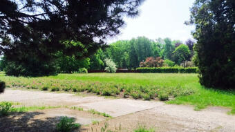 Very nice day. The wind has stopped blowing and it has become warmer