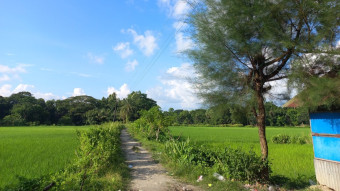 Nature Photography