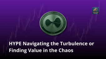 HYPE Navigating the Turbulence or Finding Value in the Chaos