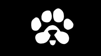 PAWS Telegram Airdrop: Earn Free $PAWS Tokens