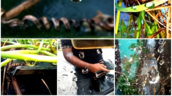 WATER DROP PHOTOGRAPHY