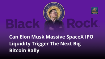 Can Elon Musk Massive SpaceX IPO Liquidity Trigger The Next Big Bitcoin Rally