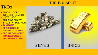 THE BIG SPLIT :  FIAT POWERED US STABLE COINS OR GOLD BACKED MONEY? A SILVER MOMENT