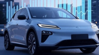 Developing Countries Are in the Focus of the Electric Vehicle Ecosystem