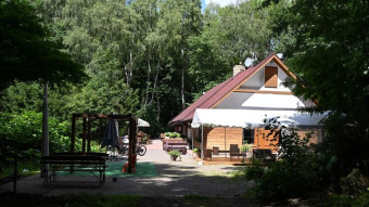 A beautiful, sunny Saturday and a walk through little-known, forgotten places - My Actifit Report Card: August 2, 2025