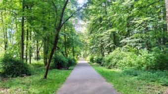 Monday was unusual, because it was warm and pleasant - My Actifit Report Card: June 8, 2026