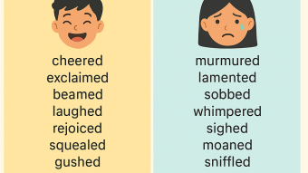 Applying Synonyms Related to Said